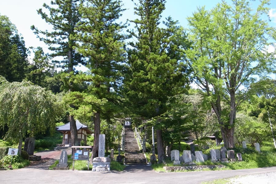 r0010941_20210227175726328.jpg