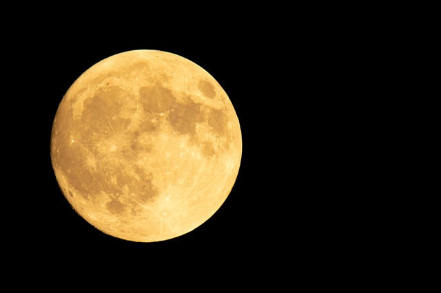 PXT00011844132601.jpg